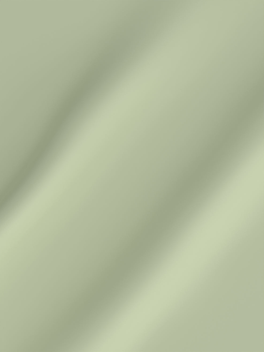 Pure Decor Pure Cotton King Size Double Bedsheet