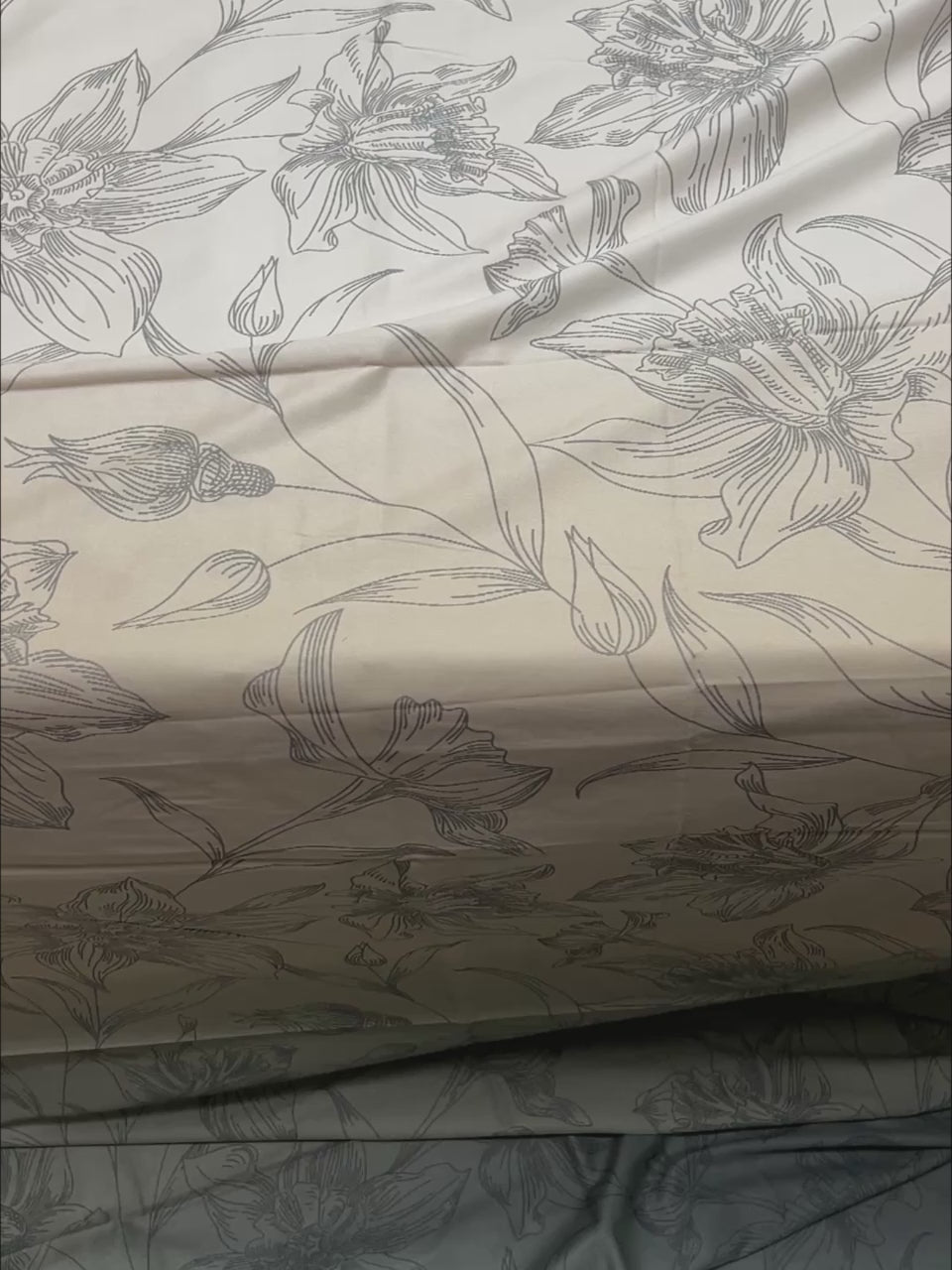 Pure Decor Pure Cotton King Size Double Bedsheet